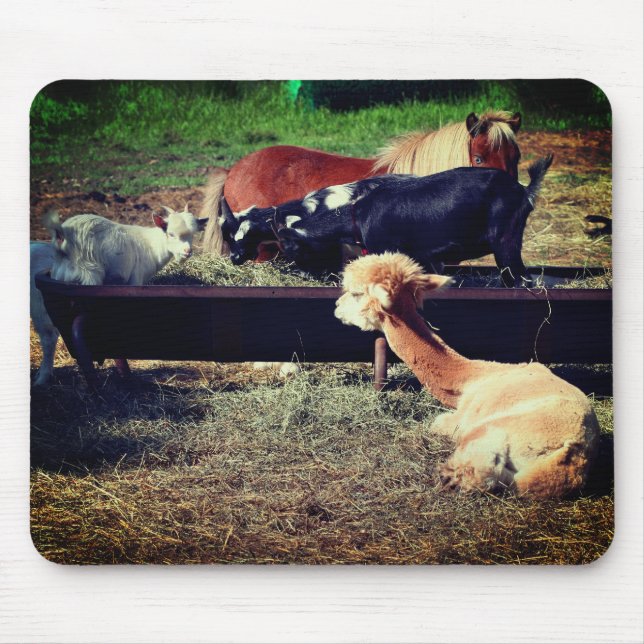Tapis De Souris Les amis des animaux de ferme Nature (Devant)
