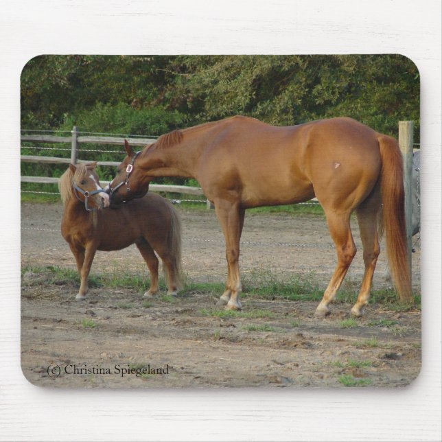Tapis De Souris Les amis du cheval embrassent Mousepad (Devant)