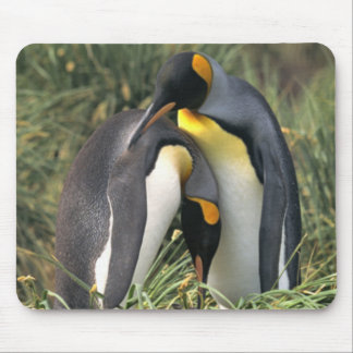 Tapis De Souris Les amoureux des pingouins