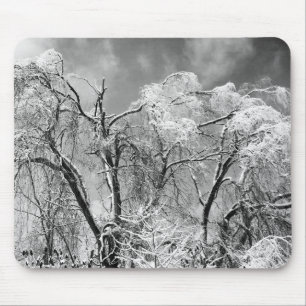 Tapis De Souris les arbres portent l'hiver