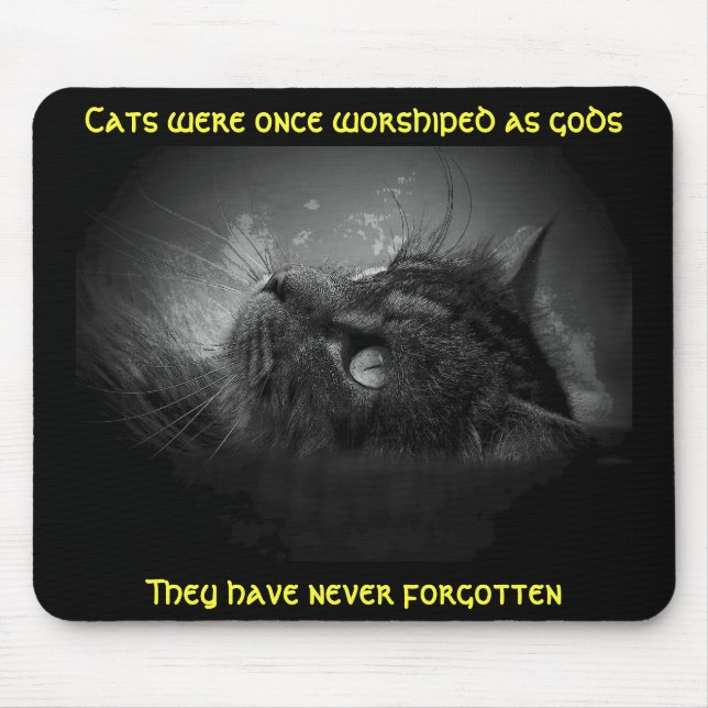 Tapis De Souris Les chats n'ont pas oublié Mème (Devant)