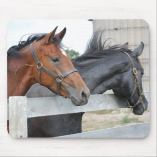 Tapis De Souris Les Chevaux d'Amour