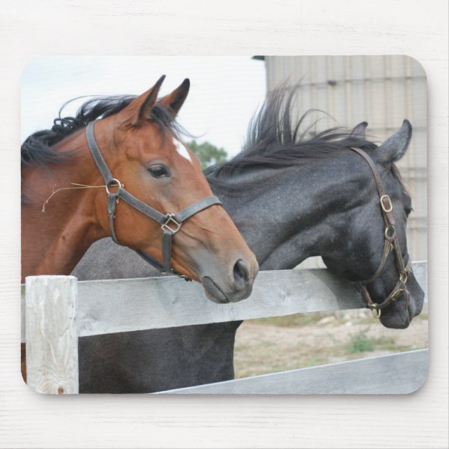 Tapis De Souris Les Chevaux d'Amour (Devant)