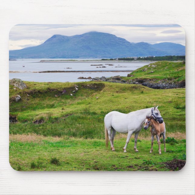 Tapis De Souris Les chevaux de Connemara | Galway, Irlande (Devant)