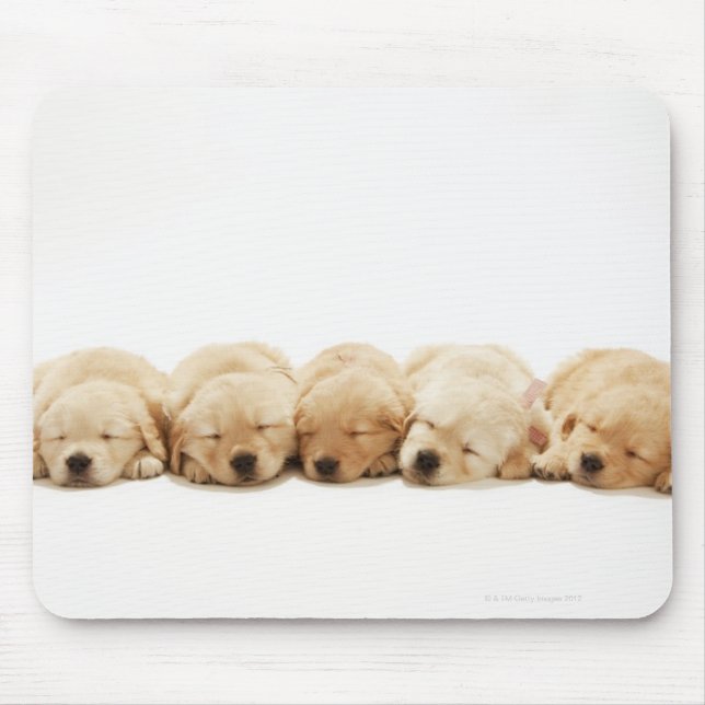 Tapis De Souris Les chiots du Golden Retriever (Devant)