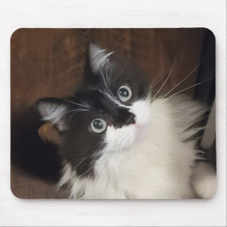 Tapis De Souris Les Chroniques de Todd - Souris