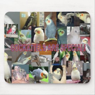 Tapis De Souris Les Cockatiels sont spéciaux