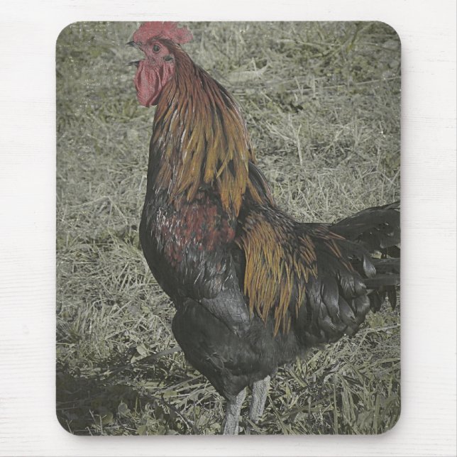 Tapis De Souris Les Corneilles De Coq (Devant)