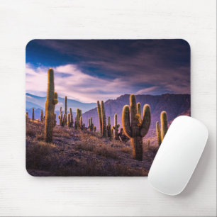 Tapis De Souris Les déserts   Cactus Paysage Argentine