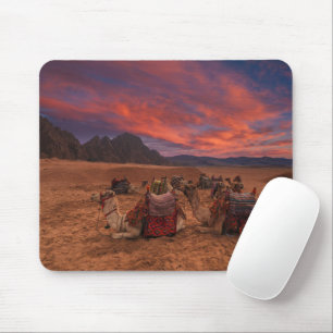 Tapis De Souris Les déserts Camels Sinai Mountains Egypte