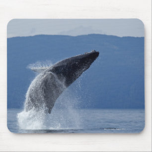 Tapis De Souris Les Etats-Unis, Alaska, Angoon, baleine de bosse