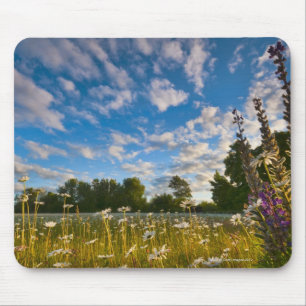 Tapis De Souris Les Etats-Unis, Orégon, le comté de Marion, pré
