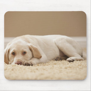 Tapis De Souris Les Etats-Unis, Utah, Lehi, portrait de Labrador