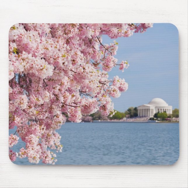 Tapis De Souris Les Etats-Unis, Washington DC, cerisier (Devant)