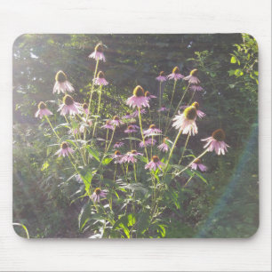 Tapis De Souris Les fleurs d'échinacée au soleil