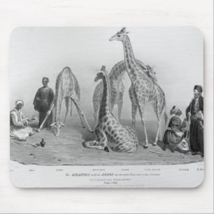 Tapis De Souris Les girafes avec les Arabes