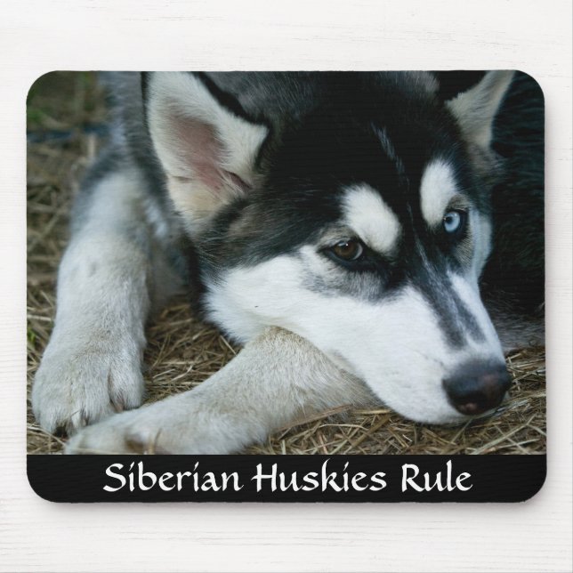 Tapis De Souris Les Huskies sibériens gouvernent Mousepad (Devant)