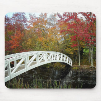 Tapis De Souris Les la plupart ont photographié la tache