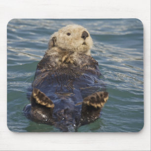 Tapis De Souris Les loutres de mer jouent sur les icebergs à Surpr