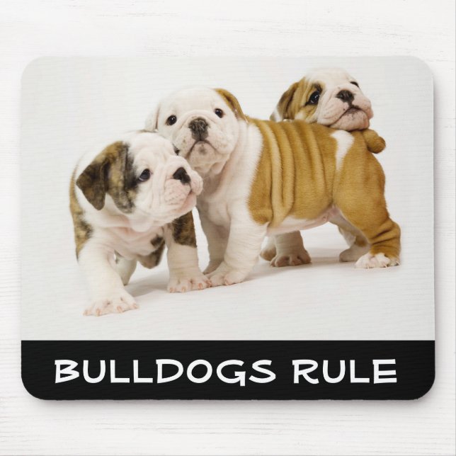 Tapis De Souris Les Mignons Bulldogs gouvernent les Chiens chiots  (Devant)