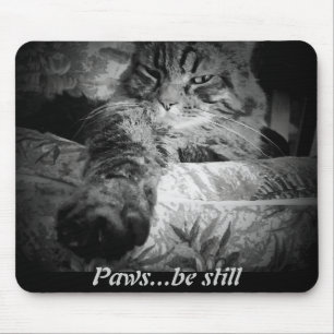 Tapis De Souris Les pattes… soient toujours. Chat drôle