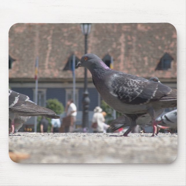 Tapis De Souris Les pigeons ambulants (Devant)