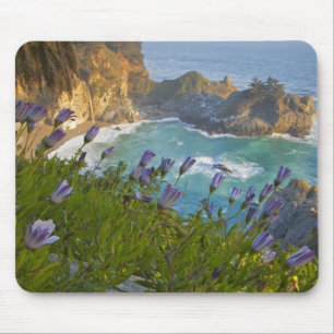 Tapis De Souris Les Pittoresques McWay Falls tombent sur la plage.