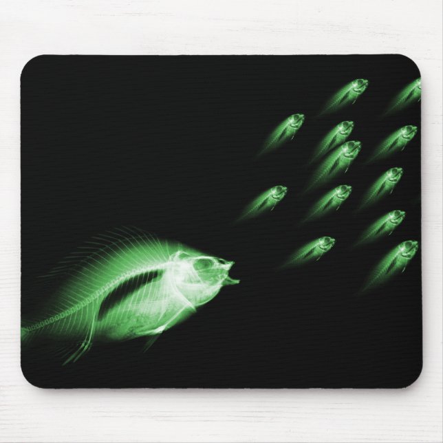 TAPIS DE SOURIS LES POISSONS DE RAYON X CHASSENT LE VERT NOIR (Devant)