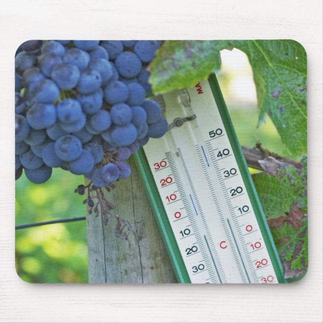Tapis De Souris Les raisins de merlot au Château la Grave Figeac,  (Devant)