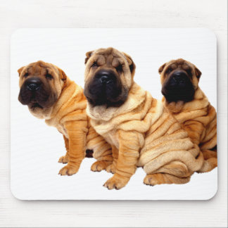 Tapis De Souris Les rides sont beau Mousepad