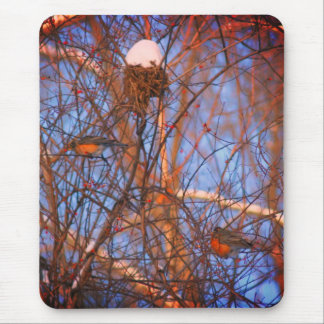 Tapis De Souris Les Robins d'hiver Faune Nature
