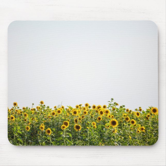 Tapis De Souris Les tournesols dans un champ (Devant)