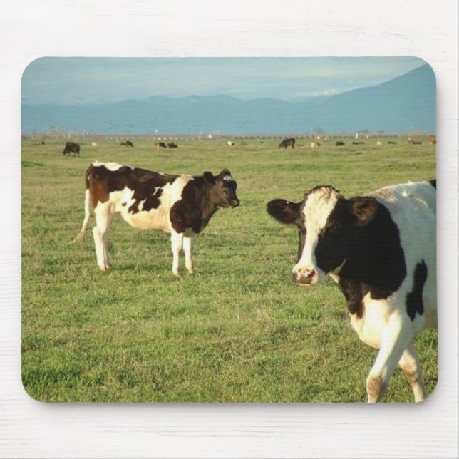Tapis De Souris les vaches ont obtenu le fromage (Devant)