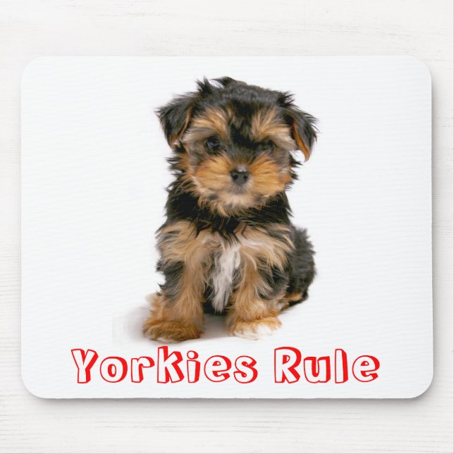 Tapis De Souris Les Yorkies gouvernent le Yorkshire Terrier Chien  (Devant)