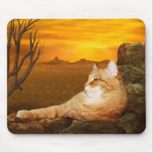 Tapis De Souris Lésions de tabby orange au soleil
