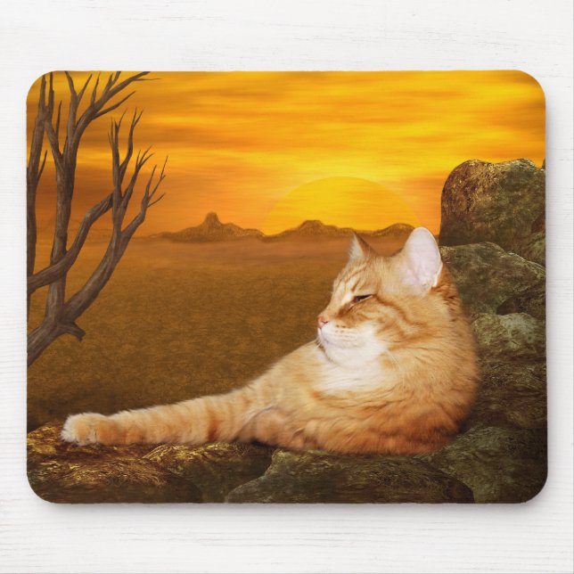Tapis De Souris Lésions de tabby orange au soleil (Devant)