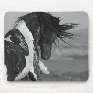 Tapis De Souris L'étalon noir et blanc frappe le Cheval sauvage M
