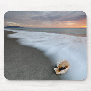 Tapis De Souris Lever de soleil sur la plage et Shell