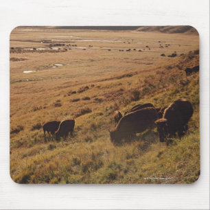 Tapis De Souris Lever de soleil sur le bison