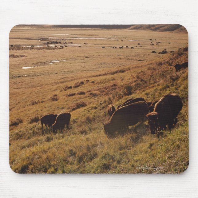 Tapis De Souris Lever du soleil sur le bison (Devant)