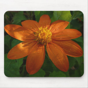 Tapis De Souris Lever du soleil sur le tournesol mexicain Orange F