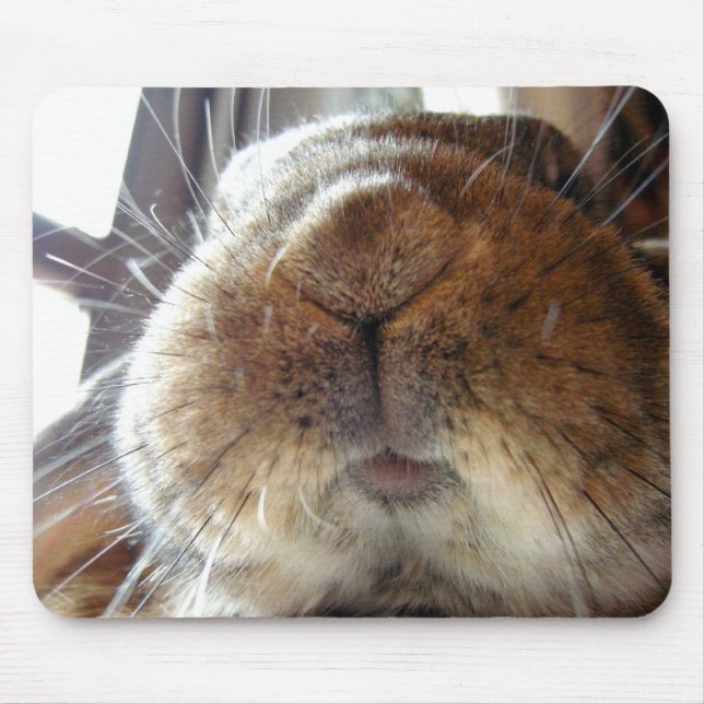 Tapis De Souris Lèvres et bouche mignonnes de lapin (Devant)
