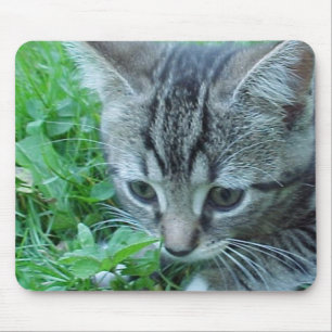 Tapis De Souris L'explorez d'abord