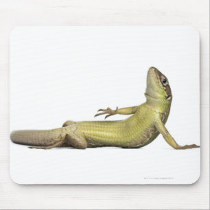 Tapis De Souris Lézard de mur se trouvant vers le bas - muralis d