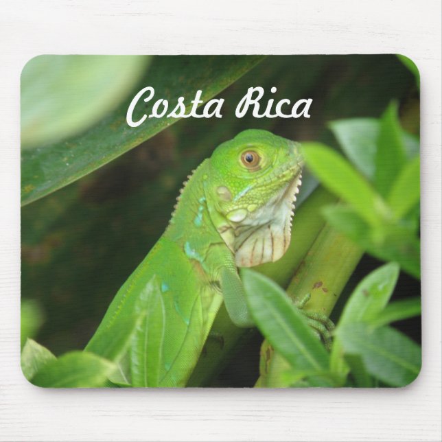 Tapis De Souris Lézard de Rican de côte (Devant)