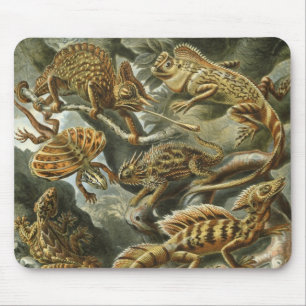 Tapis De Souris Lézards par Ernst Haeckel Vintage Lacertilia Anima