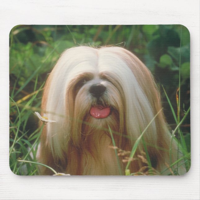 Tapis De Souris Lhasa Apso (Devant)