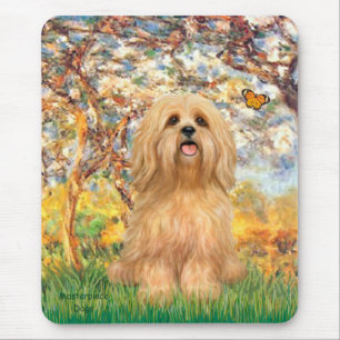 Tapis De Souris Lhasa Apso 9 - Printemps