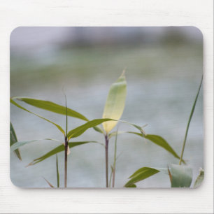 Tapis De Souris l'hiver arrive