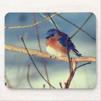 Tapis De Souris L'hiver Bluebird Nature
